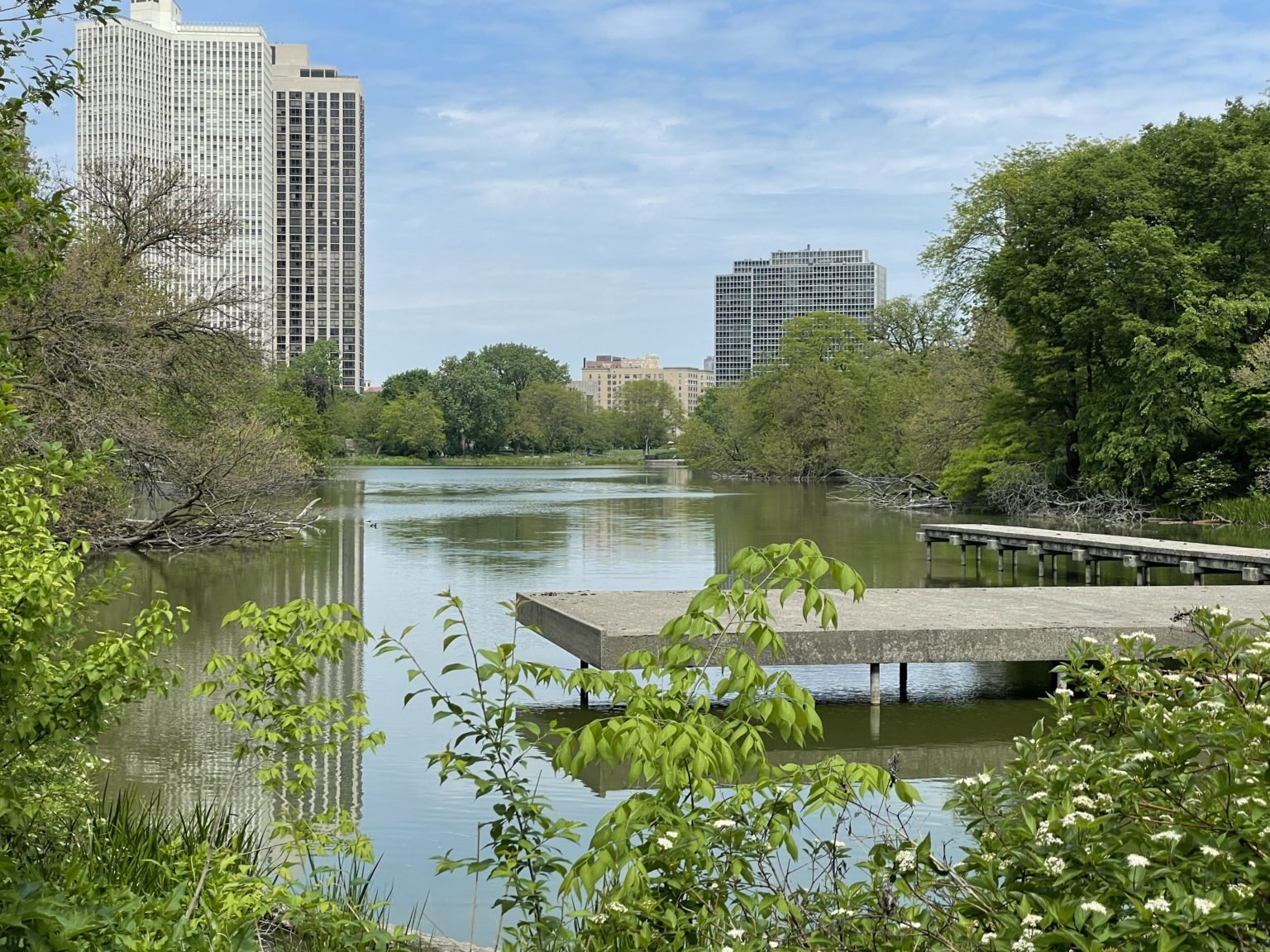 Alfred Caldwell Lily Pool